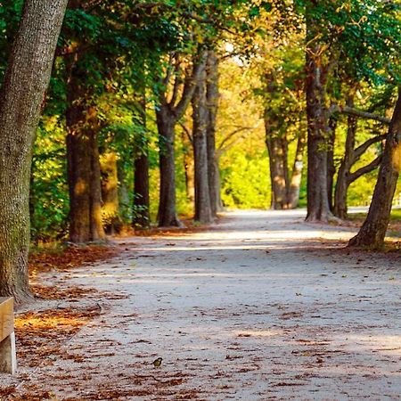 Romantic Two Bedroom Apartments In The Hills Of Budapest With Private Parking エクステリア 写真