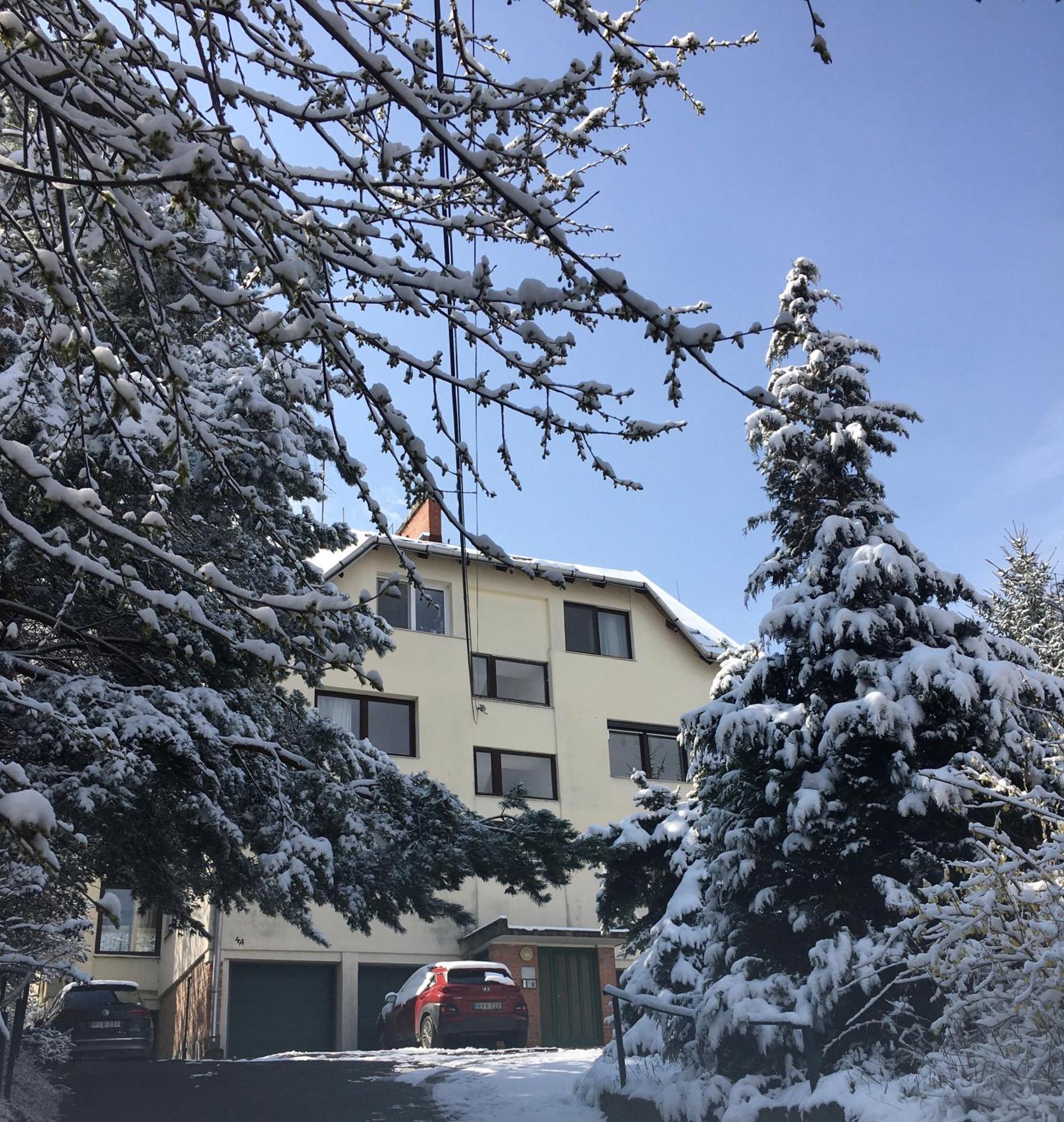 Romantic Two Bedroom Apartments In The Hills Of Budapest With Private Parking エクステリア 写真