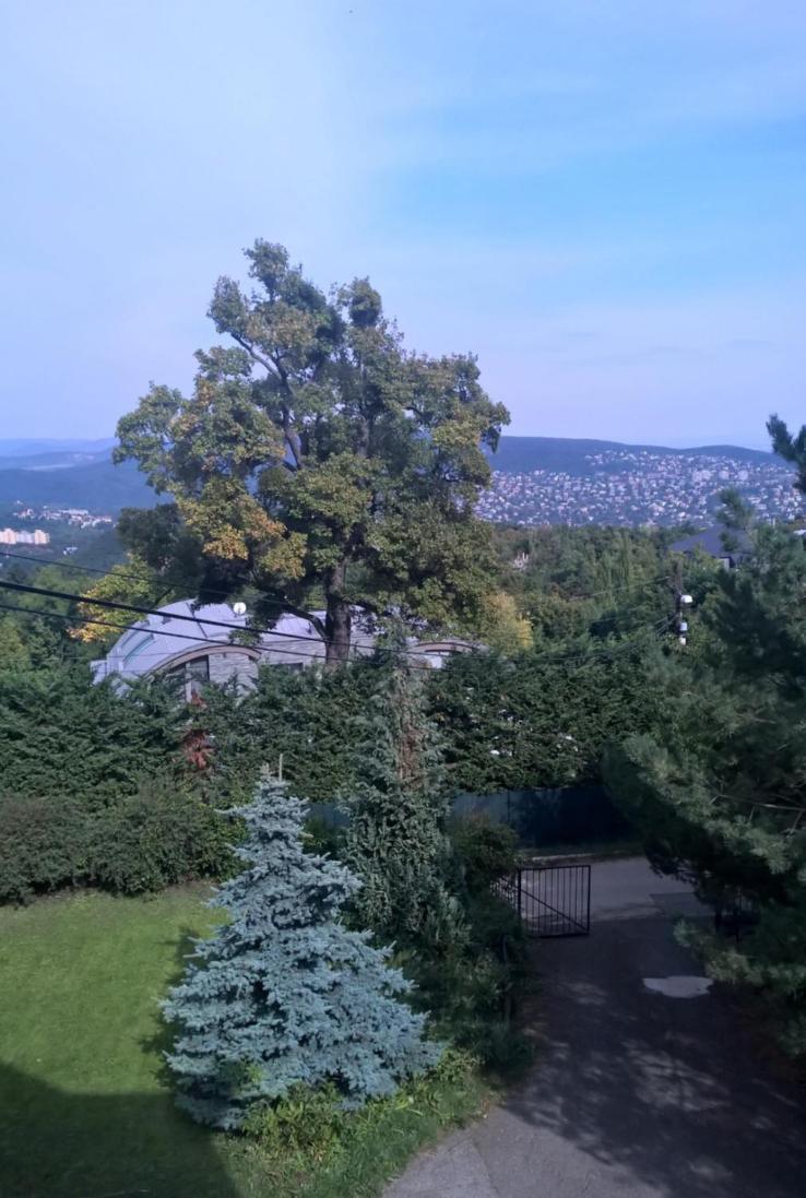 Romantic Two Bedroom Apartments In The Hills Of Budapest With Private Parking エクステリア 写真